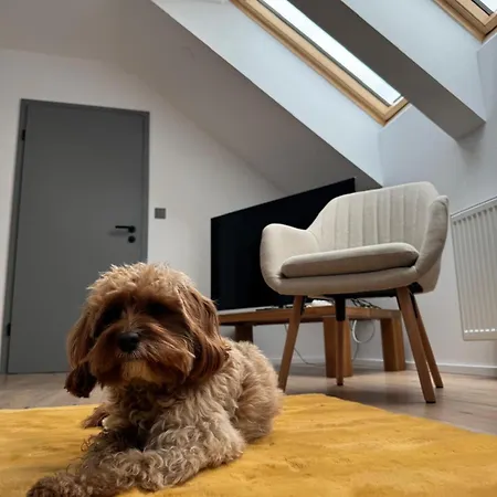 Chalupa Kozarovice Holiday home *